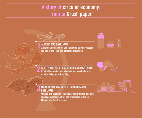 Proces spracovania mandlí a lieskovcov