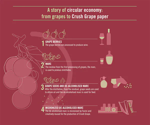 Proces spracovania hrozna pre papier Crush