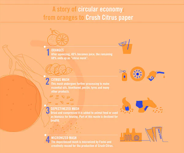 Proces spracovania citrusov pre papier Crush