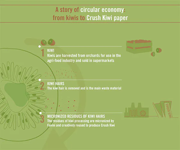 Proces spracovania kiwi pre papier Crush