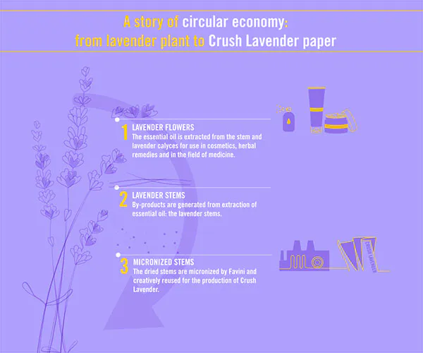 Spracovanie levandule