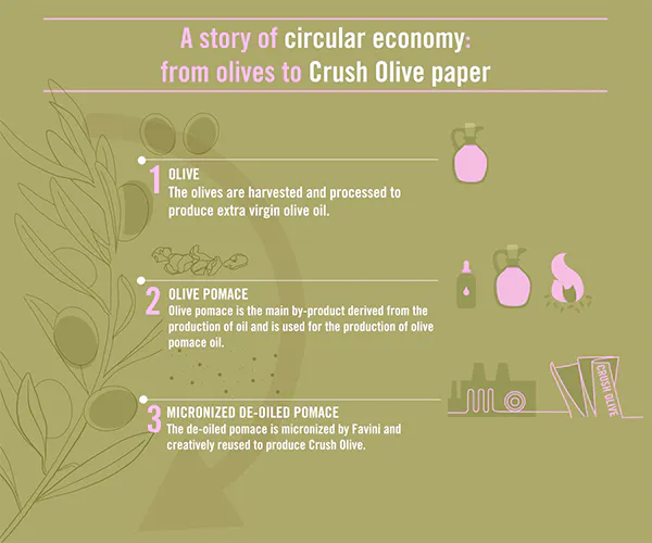 Proces spracovania olív pre papier Crush